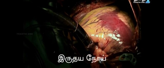 Moviesda.Mobi - Gowli 2024 Original 720p HD (850MB).mp4